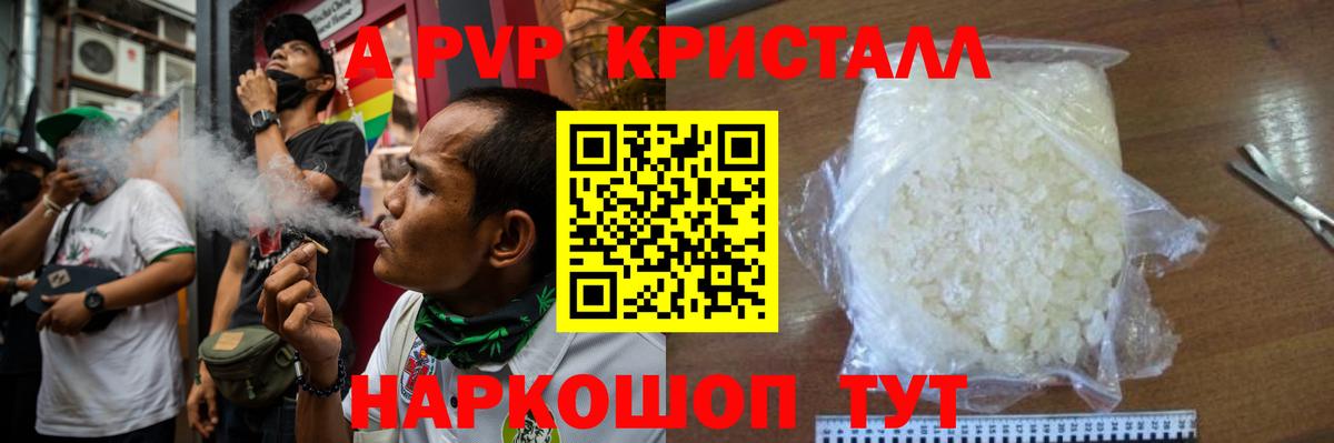 Альфа ПВП СК КРИС Курчалой