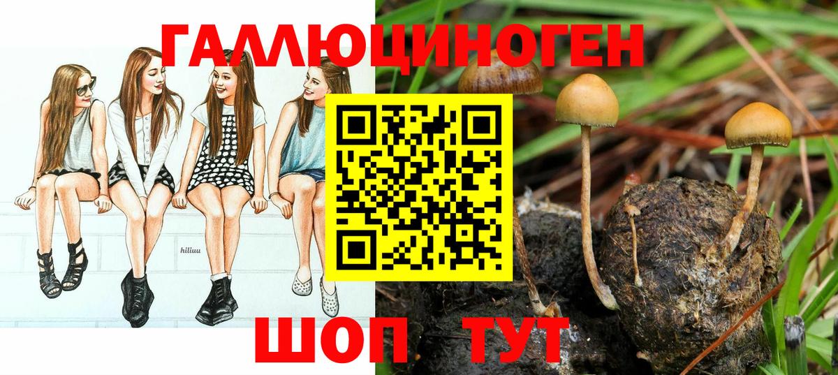 Галлюциногенные грибы мухоморы Курчалой