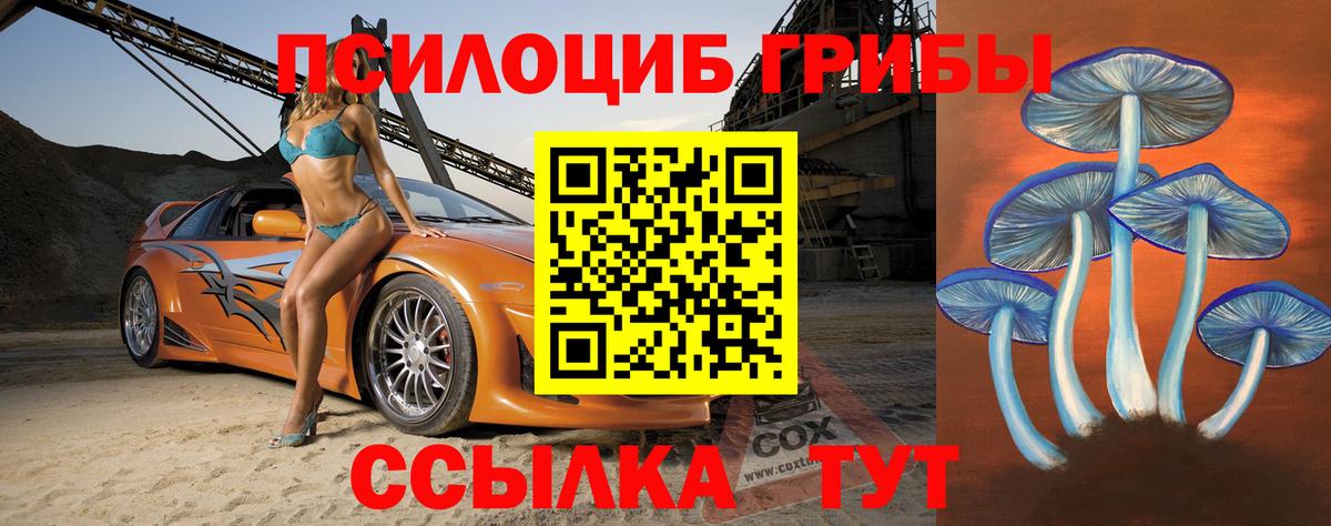 Курчалой  Галлюциногенные грибы MAGIC MUSHROOMS  Вход с VPN 